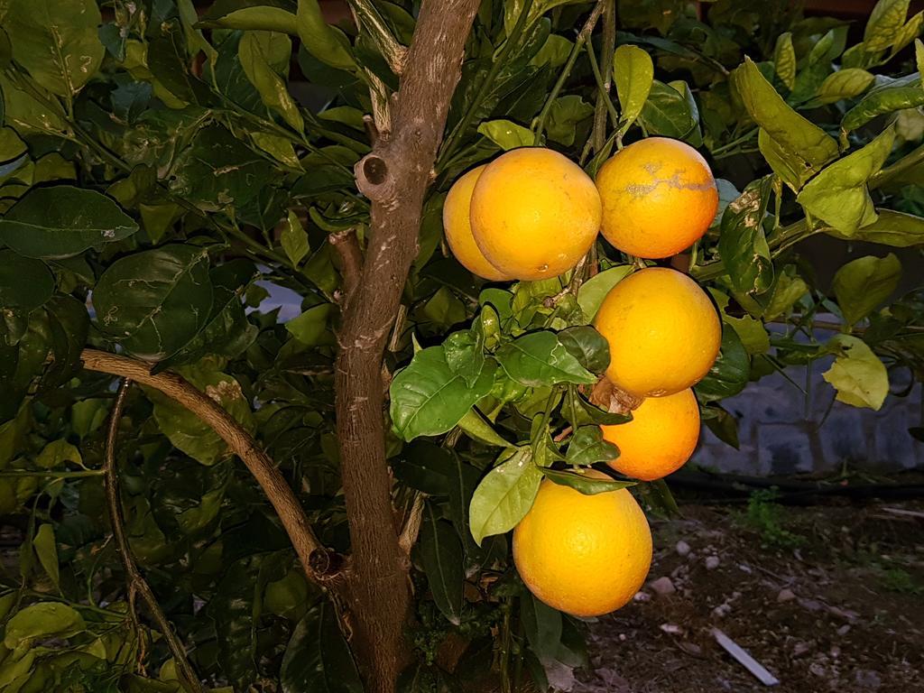 Casa Rural La Hoyita De Tunte San Bartolomé エクステリア 写真