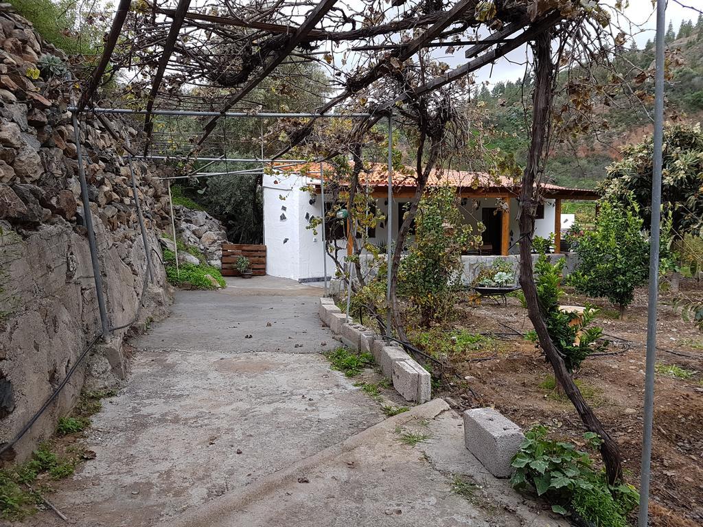 Casa Rural La Hoyita De Tunte San Bartolomé エクステリア 写真