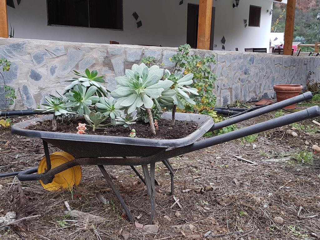 Casa Rural La Hoyita De Tunte San Bartolomé エクステリア 写真