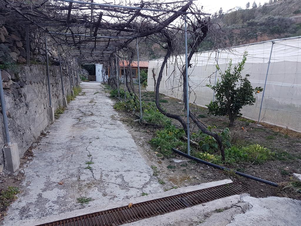 Casa Rural La Hoyita De Tunte San Bartolomé エクステリア 写真