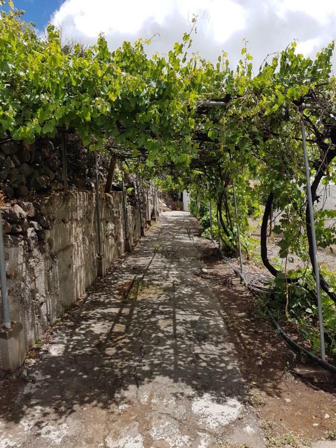 Casa Rural La Hoyita De Tunte San Bartolomé エクステリア 写真