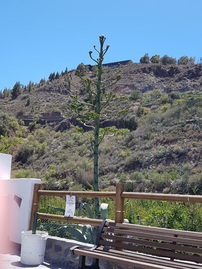 Casa Rural La Hoyita De Tunte San Bartolomé エクステリア 写真