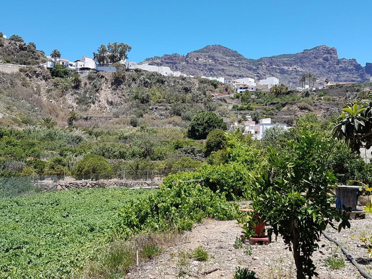 Casa Rural La Hoyita De Tunte San Bartolomé エクステリア 写真