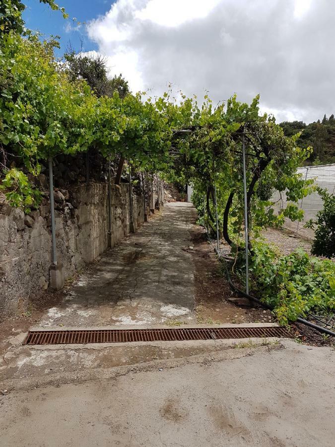 Casa Rural La Hoyita De Tunte San Bartolomé エクステリア 写真