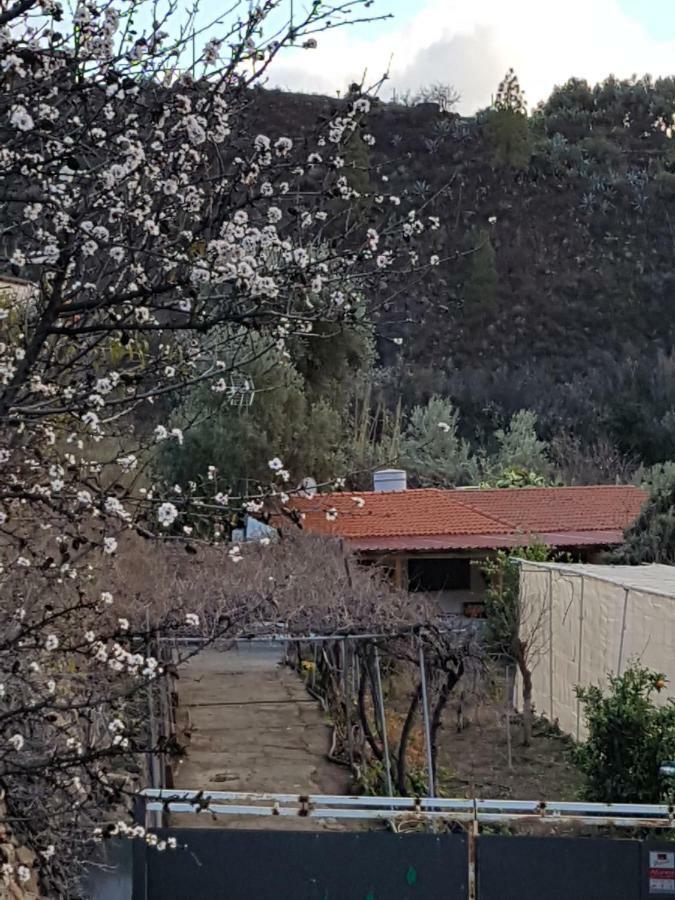 Casa Rural La Hoyita De Tunte San Bartolomé エクステリア 写真